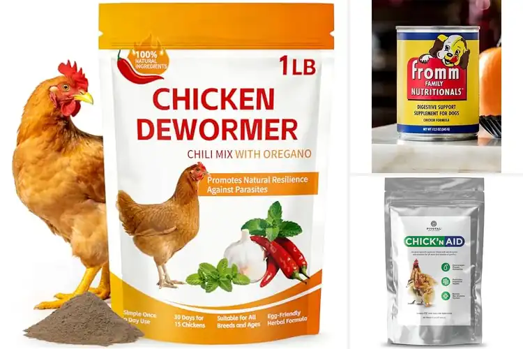 Detailed view of Best Chicken Digestion Aids: Boost Flock Health Easily