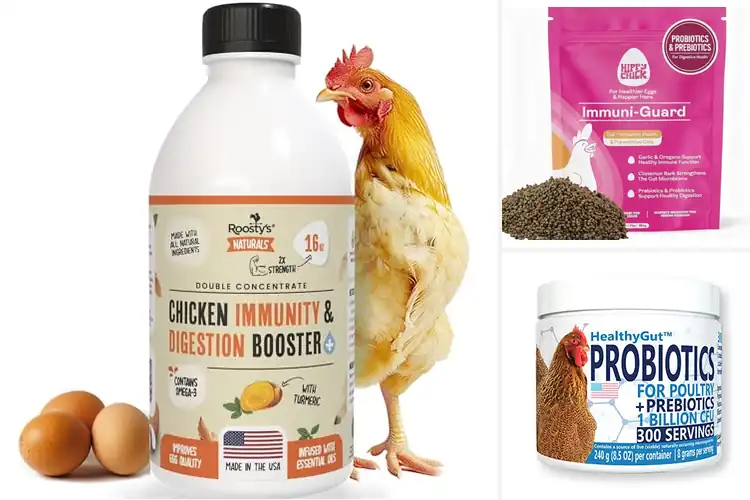 Detailed view of Best Chicken Digestive Health Supplements