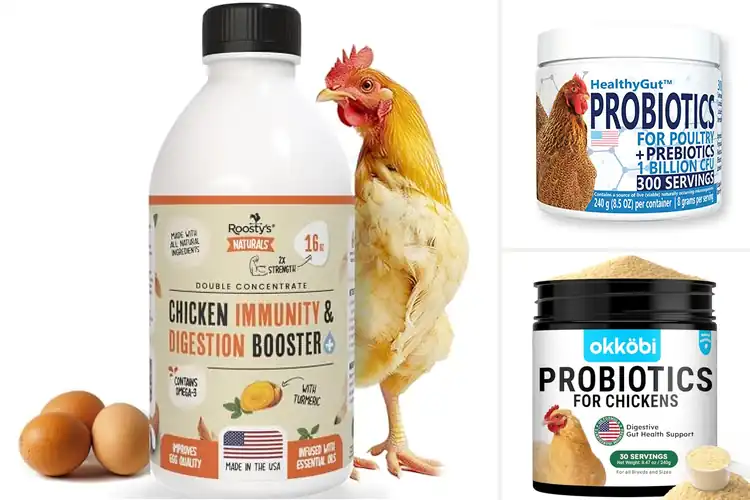 Detailed view of Best Chicken Digestive Supplements