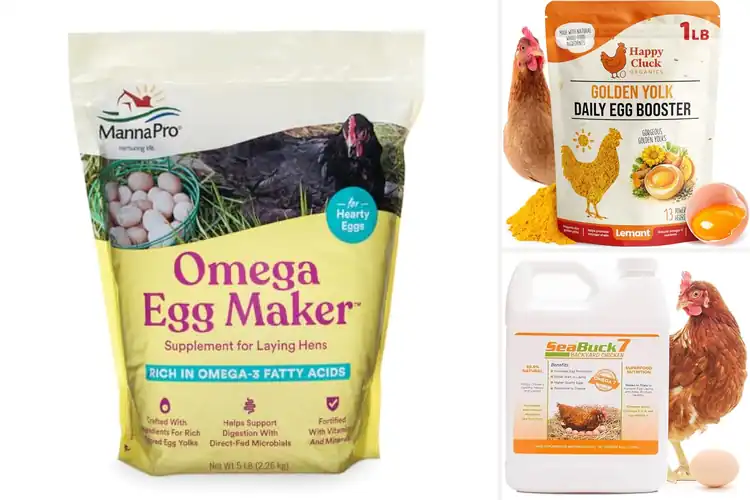 Detailed view of Best Chicken Egg Laying Supplements