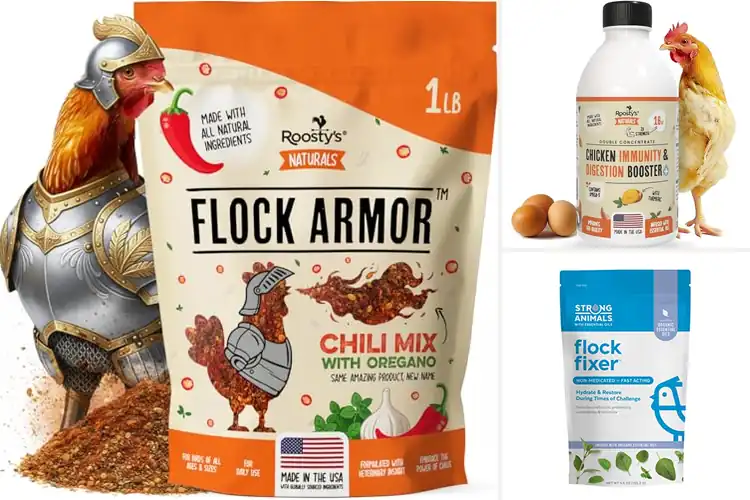 Detailed view of Best Chicken Flock Immunities: Natural Boost