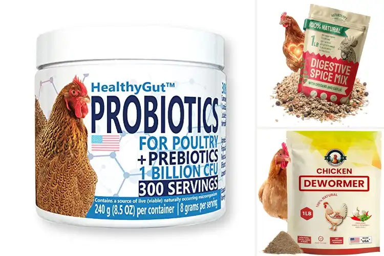 Detailed view of Best Chicken Gut Health Supplements