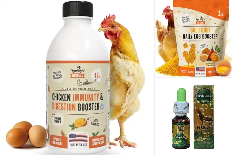 Detailed view of Best Chicken Immunity Boosters