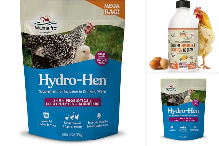 Detailed view of Best Chicken Nutrient Absorption Supplements