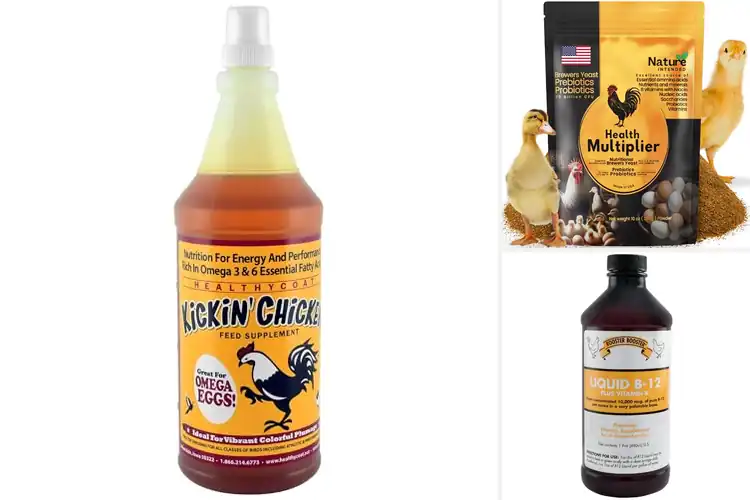 Detailed view of Best Chicken Nutritional Supplements