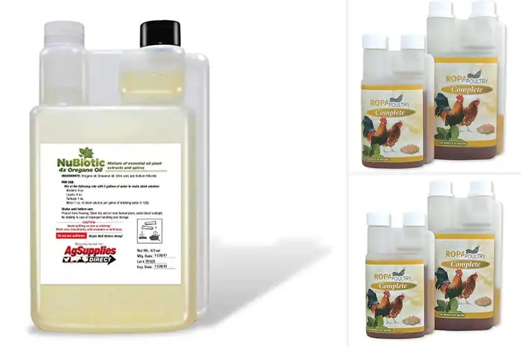 Detailed view of Best Chicken Oregano Oil Blends Boost Health Naturally