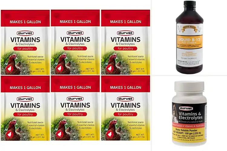 Detailed view of Best Chicken Vitamins: Top Picks for Healthy, Happy Hens