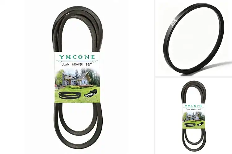 Detailed view of Best Cracking Resistant Belts