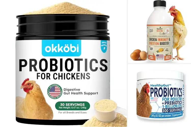 Detailed view of Best Digestive Health For Poultry