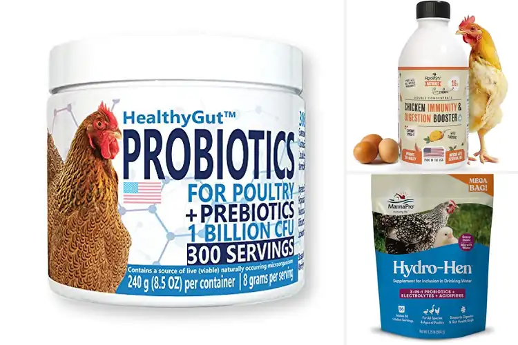 Detailed view of Best Digestive Supplements for Poultry