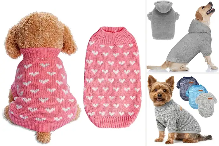 Detailed view of Best Dog Gift Sweaters: 10 Cozy & Stylish Picks for Your Pet