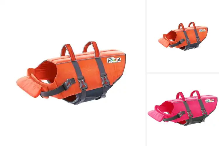 Detailed view of Best Dog Life Jackets: Top 10 Picks for Safe Water Fun