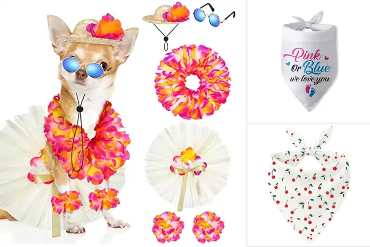 Detailed view of Best Dog Photo Outfits