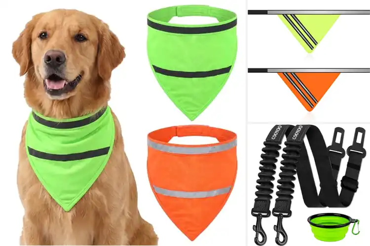 Detailed view of Best Dog Safety Gear
