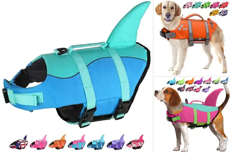 Detailed view of Best Dog Swimming Aids