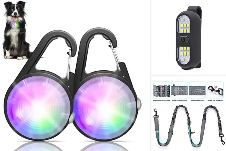 Detailed view of Best Dog Walking Gear: 10 Must-Haves for Safe & Fun Walks
