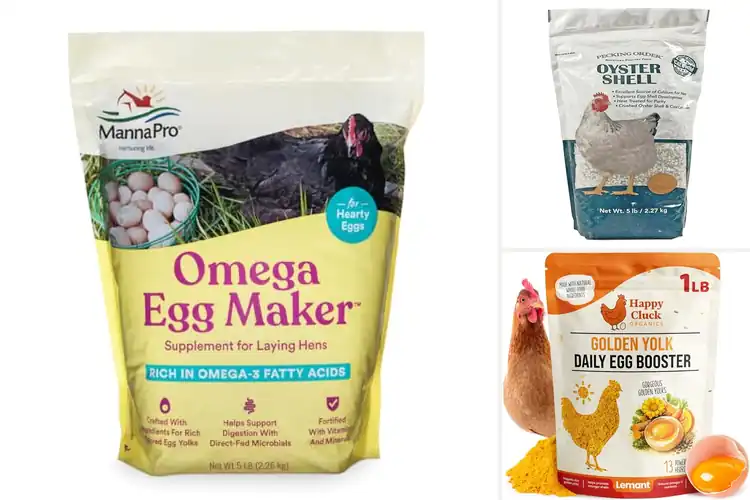 Detailed view of Best Egg Laying Hen Supplements for Stronger Daily Eggs