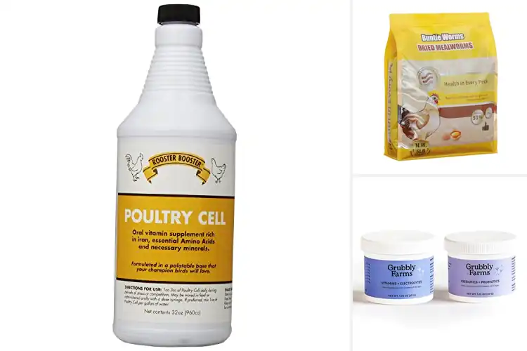 Detailed view of Best Flock Immunity Boosters: Keep Your Birds Thriving