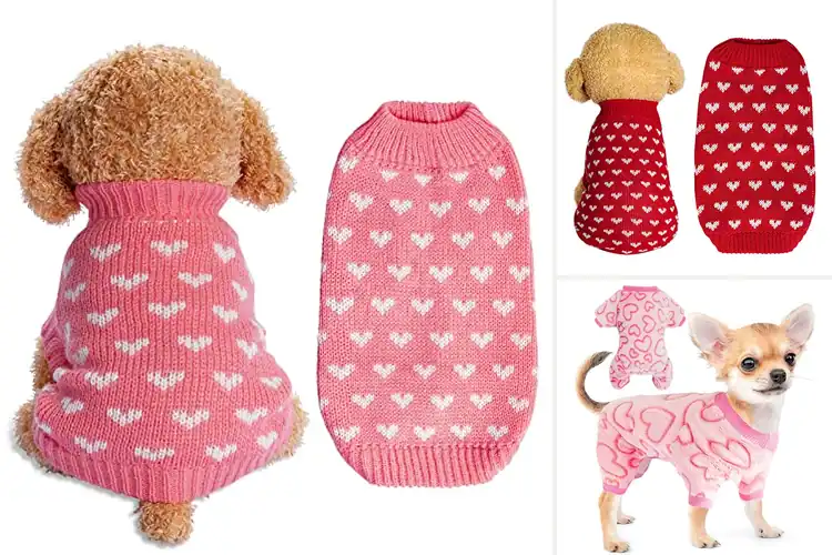 Detailed view of Best Heart Pattern Dog Sweaters: Top 10 Cozy & Stylish Picks