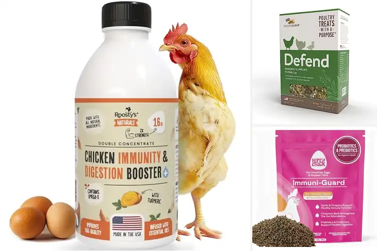 Detailed view of Best Immune Boosters for Chickens
