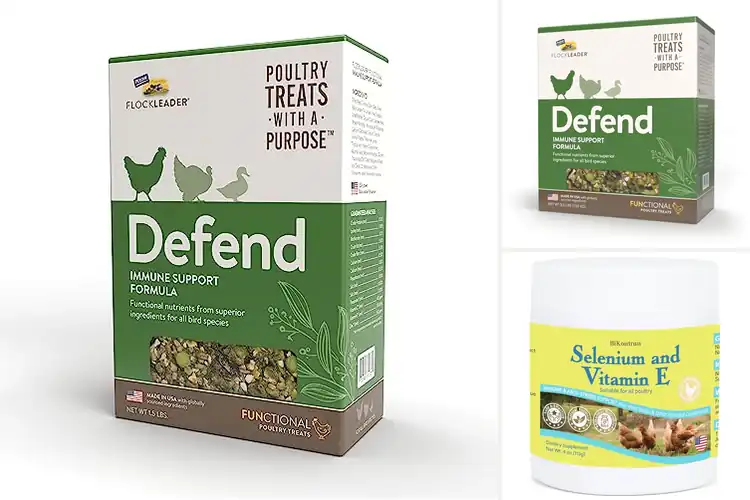 Detailed view of Best Immune Support For Flocks