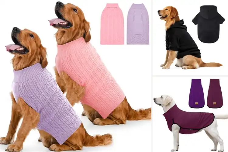 Detailed view of Best Large Dog Sweaters
