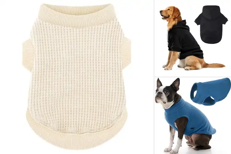 Detailed view of Best Medium Dog Sweaters: 10 Cozy Picks for Warmth & Style