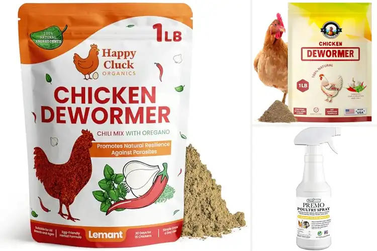 Detailed view of Best Natural Chicken Treatments