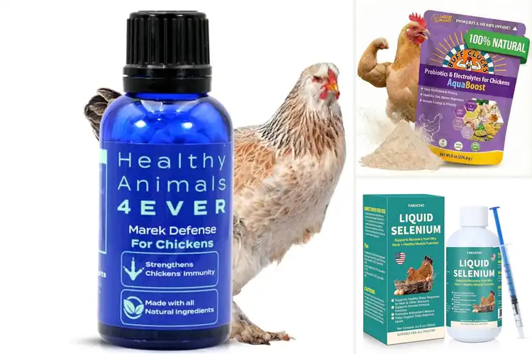 Detailed view of Best Natural Immune Support For Flocks