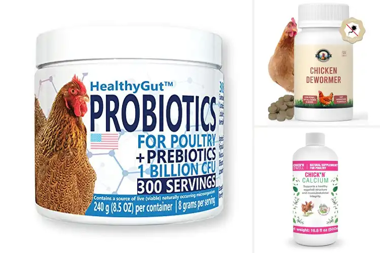 Detailed view of Best Natural Poultry Health Products