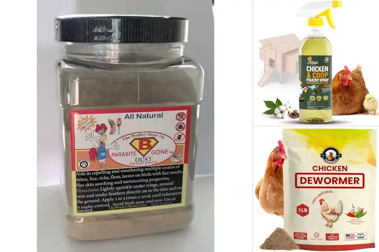 Detailed view of Best Natural Poultry Treatments