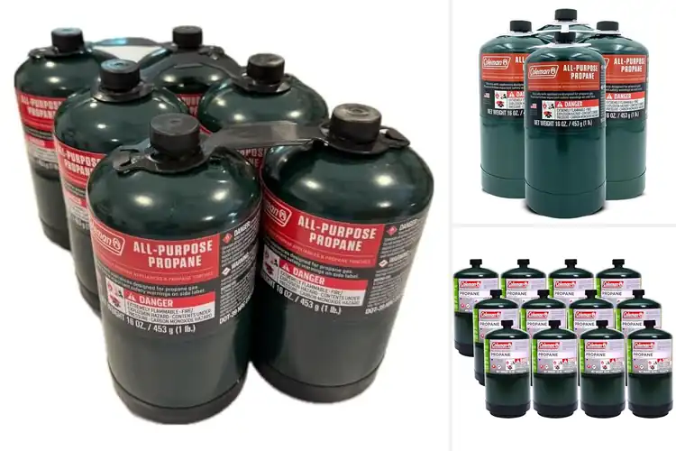 Detailed view of Best Portable Propane Cylinders
