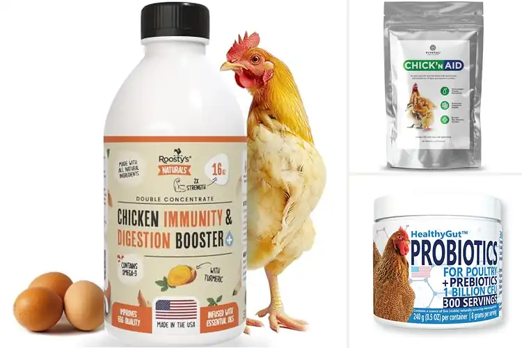 Detailed view of Best Poultry Digestive Aids