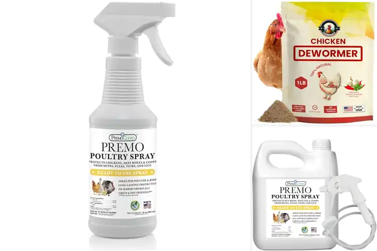 Detailed view of Best Poultry Health Treatments: Keep Your Flock Thriving