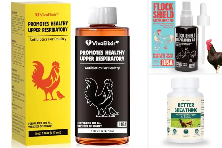 Detailed view of Best Poultry Respiratory Supports for Healthier Flocks
