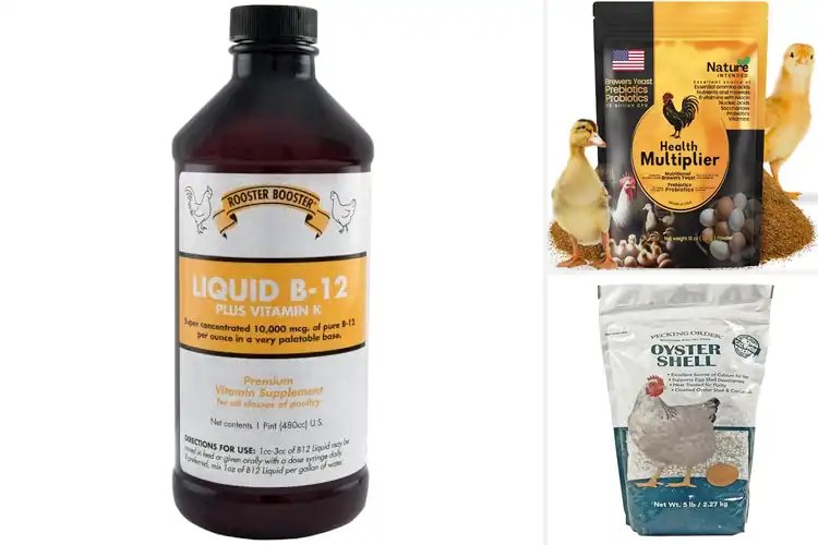 Detailed view of Best Poultry Supplements: Top 10 Picks for a Thriving Flock