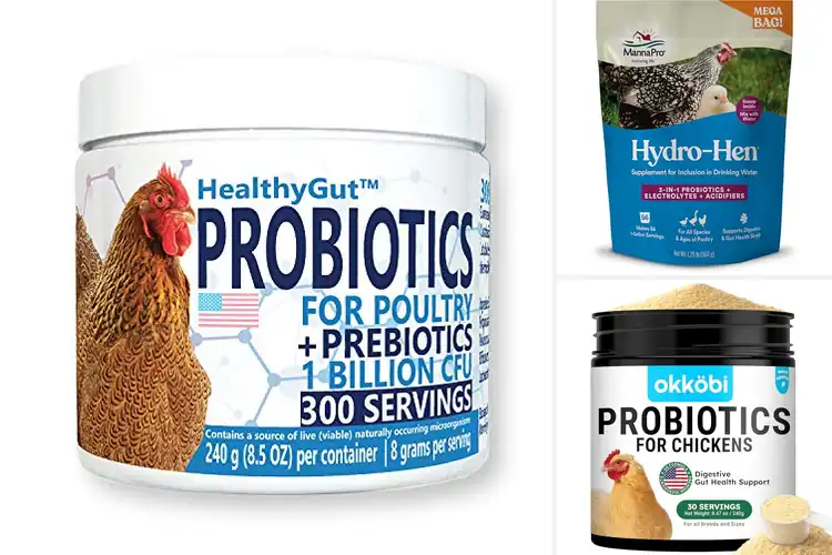 Detailed view of Best Probiotic For Chickens: Top 10 Gut-Boosting Picks