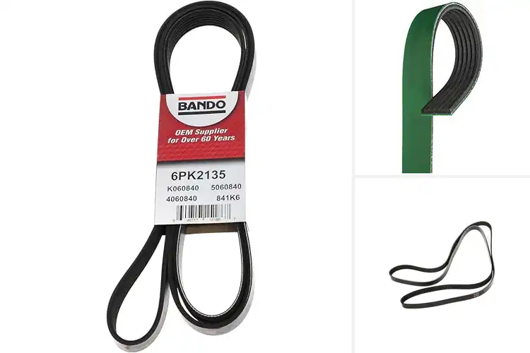 Detailed view of Best Serpentine Belts