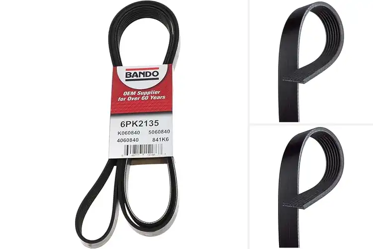 Detailed view of Best Serpentine Drive Belts