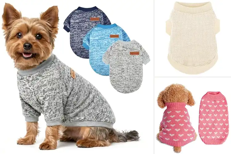 Detailed view of Best Small Dog Sweaters: Cozy & Stylish Picks for Your Pup