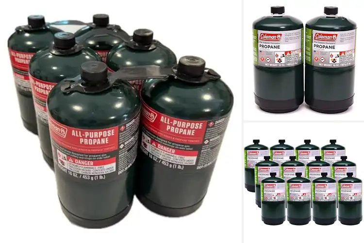 Detailed view of Best Small Propane Cylinders