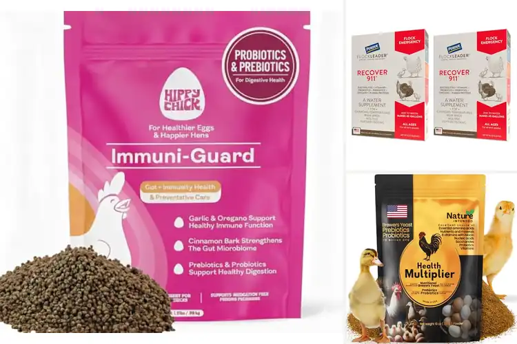 Detailed view of Best Stress Relief Supplements for Chickens