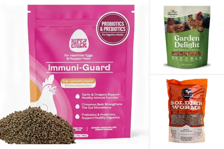Detailed view of Best Stress Relief Treats for Chickens