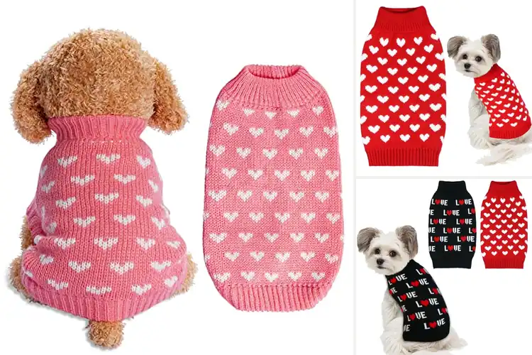Detailed view of Best Valentine Dog Sweaters