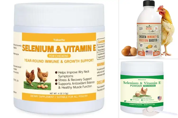 Detailed view of Best Vitamin Blend For Chickens